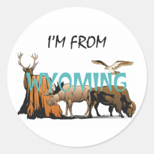 TEE I'm From Wyoming Classic Round Sticker