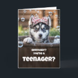 Teen Teenager Happy Birthday Cute Husky Funny Card<br><div class="desc">A shocked looked on this cute husky pup's face as she tries to soak in that a kid she knows is now a teenager!  A fun teen birthday card.</div>