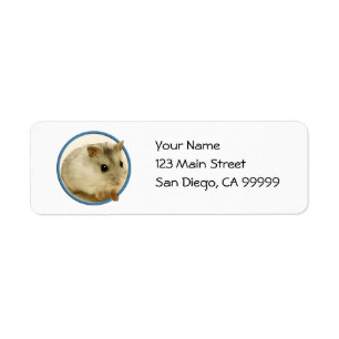 Teeny Hamster