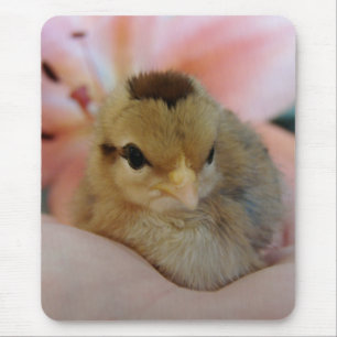 Teeny in my hand mouse pad