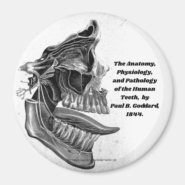 "Teeth" Magnet (Front)