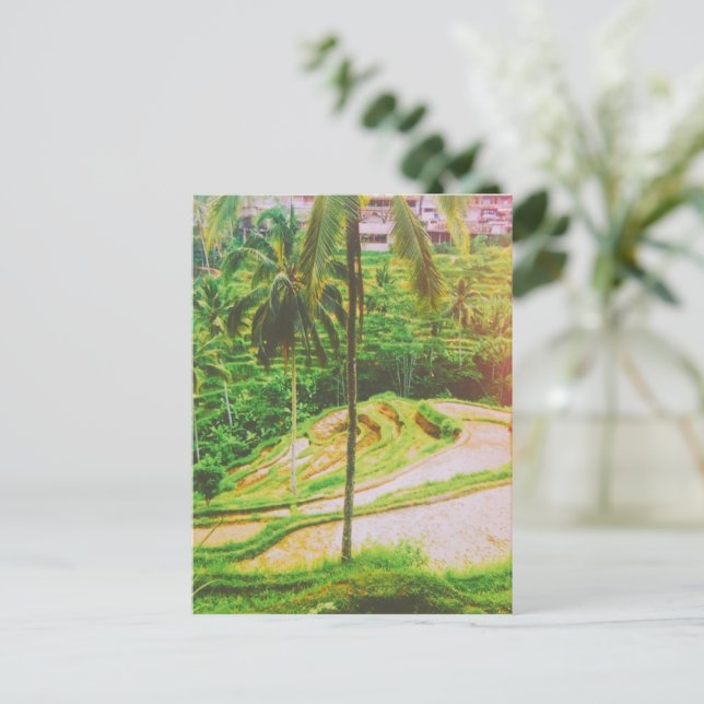 Tegalalang Rice Terrace - Bali - Indonesia  Postcard (Standing Front)