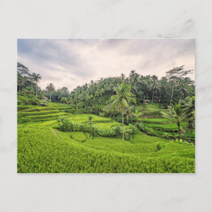 Tegallalang Postcard