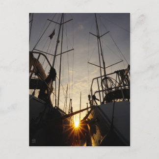Tegenlicht bij 2 zeilboten in de haven. postcard