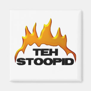 Teh Stoopid Burns Magnet
