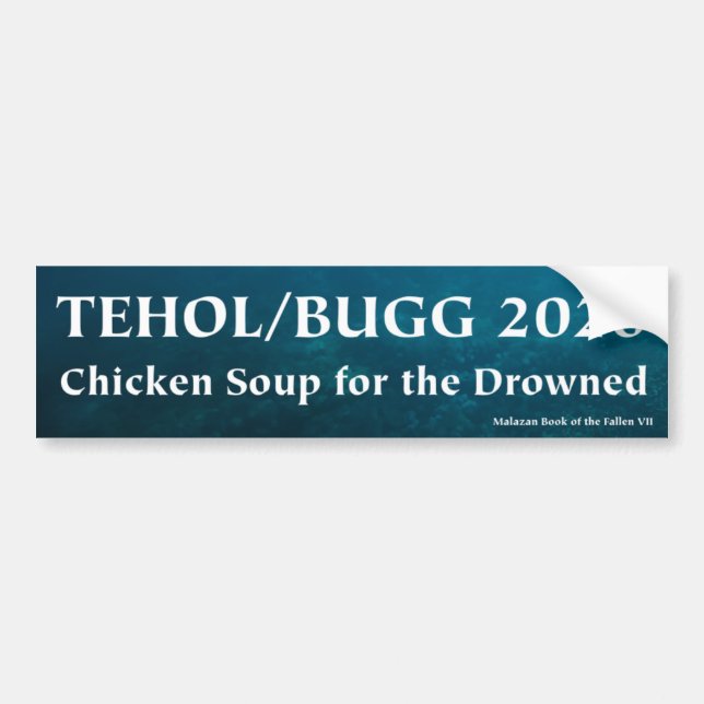Tehol/Bugg 2020 - Chicken Soup for the Drowned Bumper Sticker (Front)