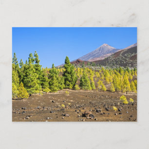 Teide National Park Landscape in Tenerife Postcard