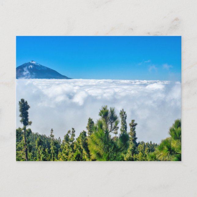 Teide National Park Postcard (Front)