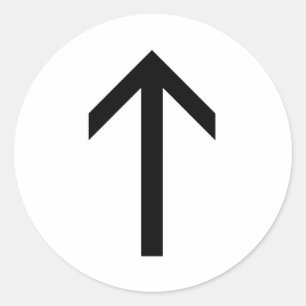 TEIWAZ RUNE CLASSIC ROUND STICKER