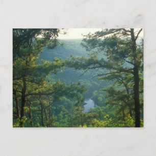 Tekoa Mountain Postcard