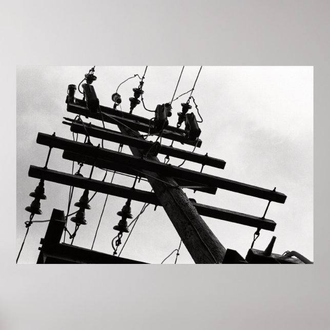 Telephone pole poster (Front)