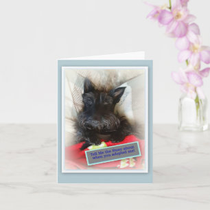 Tell Me the Story Card