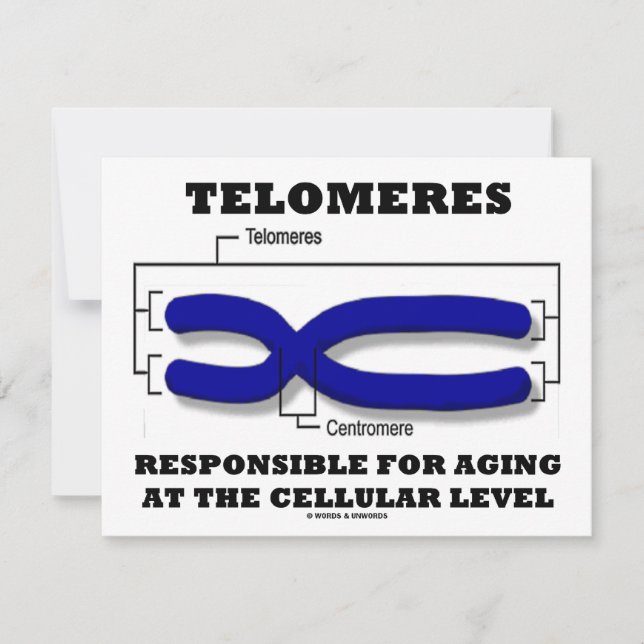 Telomeres Responsible For Aging At Cellular Level Card (Front)