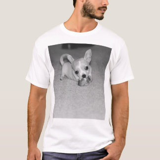 Telula The Chihuahua!! T-Shirt