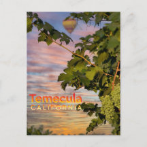 Temecula Wine Country Postcard Grapevine 
