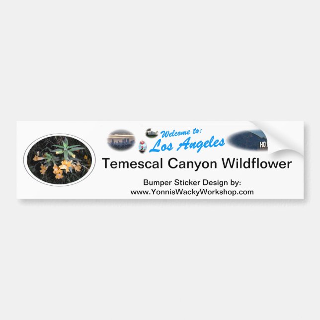 Temescal Wild Flower Bumper Sticker (Front)