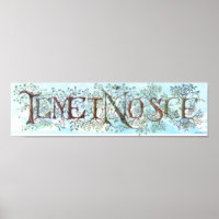Temet Nosce Poster