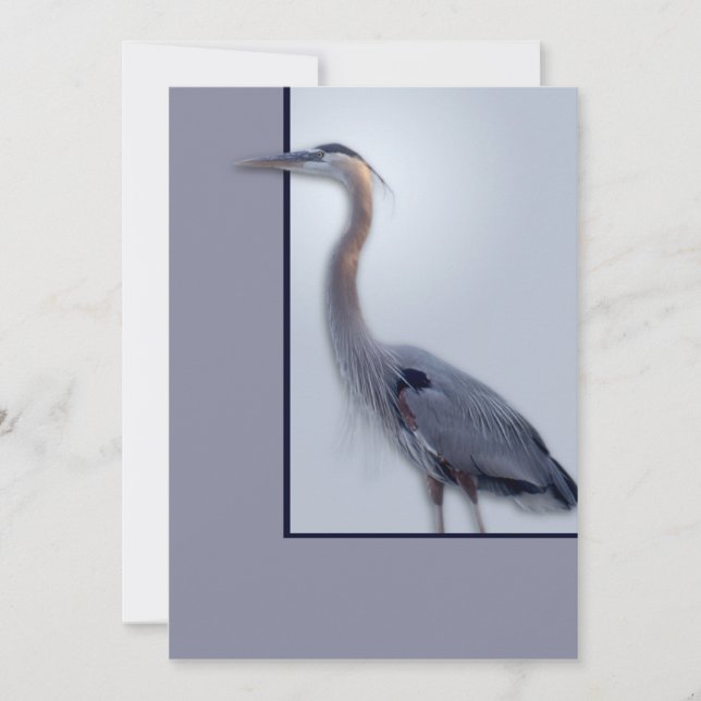 temp Blank Ann new (Front)