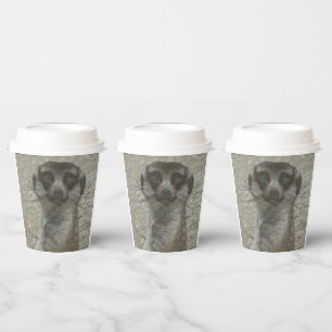 Temp Cup