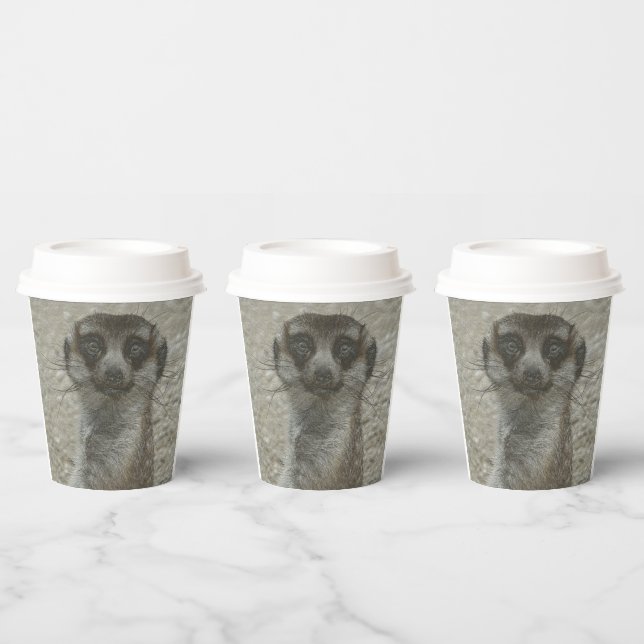 Temp Cup (Multi)