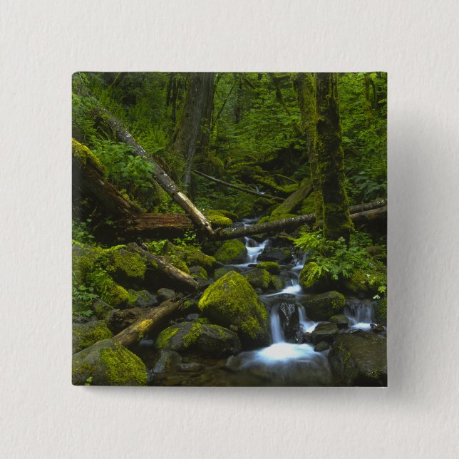 Temperate Rainforest Stream in Columbia River 2 Inch Square Button (Front)