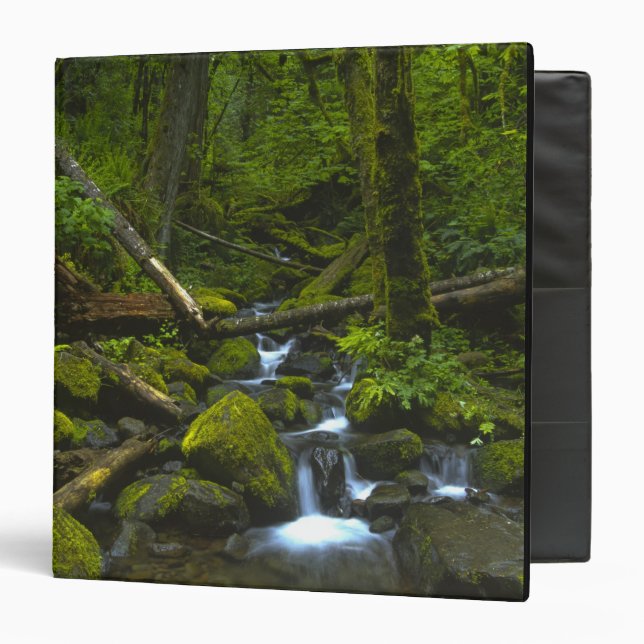 Temperate Rainforest Stream in Columbia River Binder (Front/Inside)