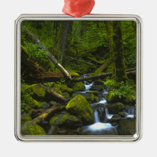 Temperate Rainforest Stream in Columbia River Metal Ornament