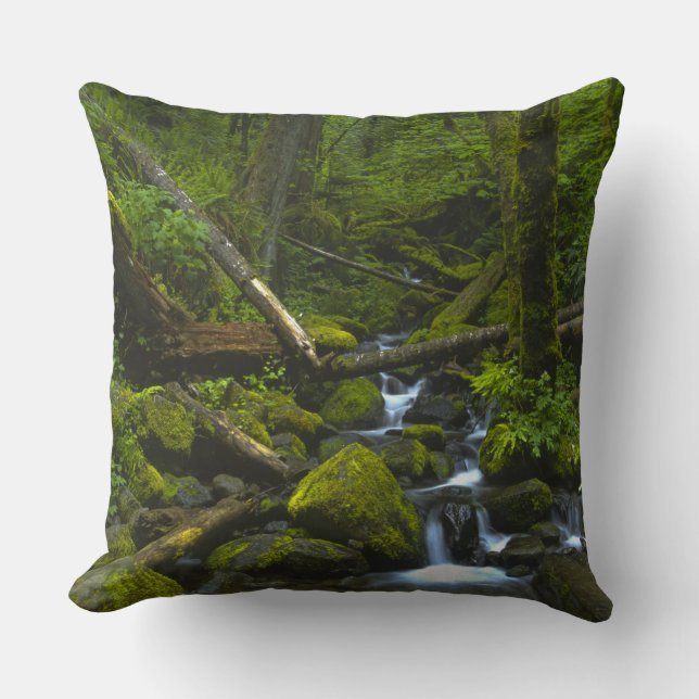 Temperate Rainforest Stream in Columbia River Throw Pillow (Front)