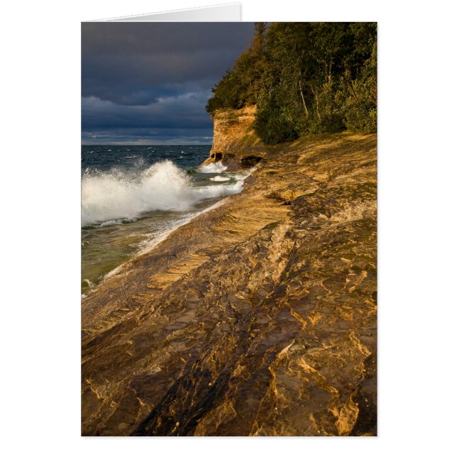 Température Météo Crise Vagues (Devant)