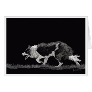 Tempérer la frontière Collie