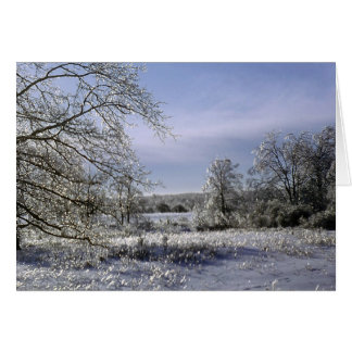 Tempête de glace 1