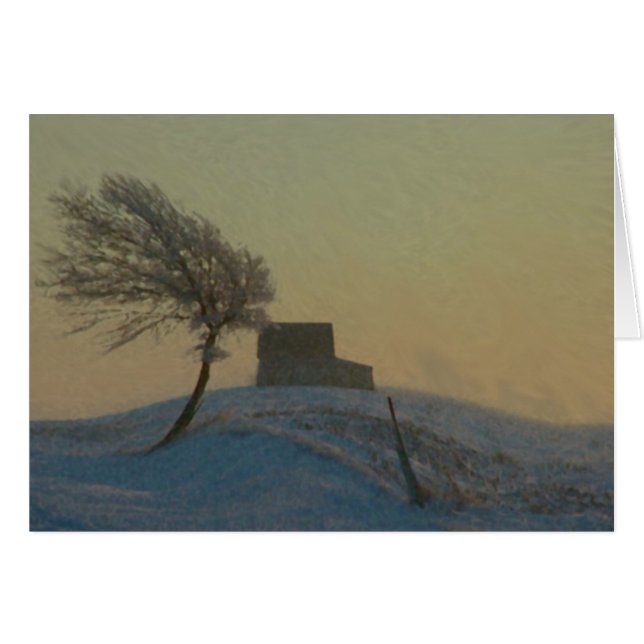 Tempête de neige de l'Illinois (Devant horizontal)