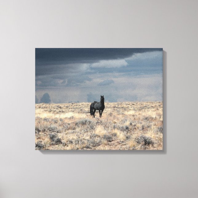 Tempête parfaite sur toile (Recto)