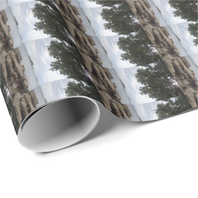 Template Photo Rectangle Camera Wrapping Paper (Roll Corner)