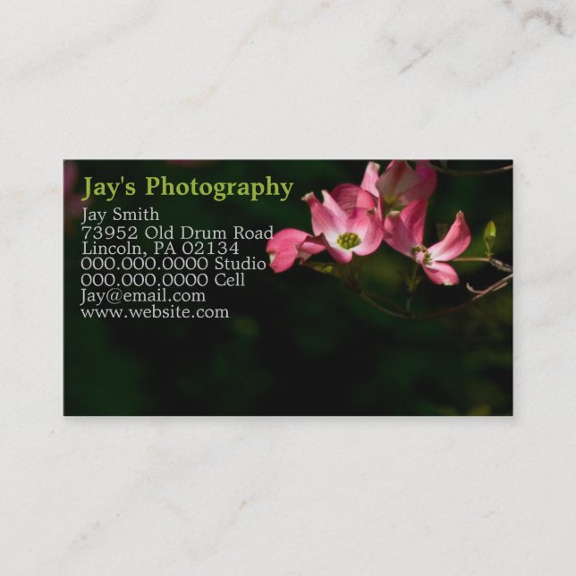 Template Photography Business Cards (Front)