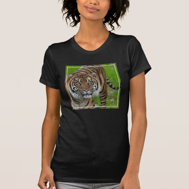 template T-Shirt (Front)