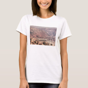 Temple of Apollo Epikourios, c.450-20 BC T-Shirt