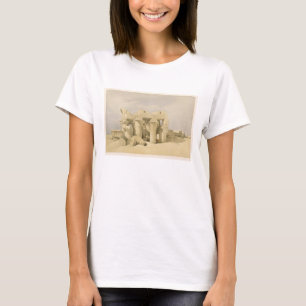 Temple of Sobek and Haroeris at Kom Ombo, from 'Eg T-Shirt