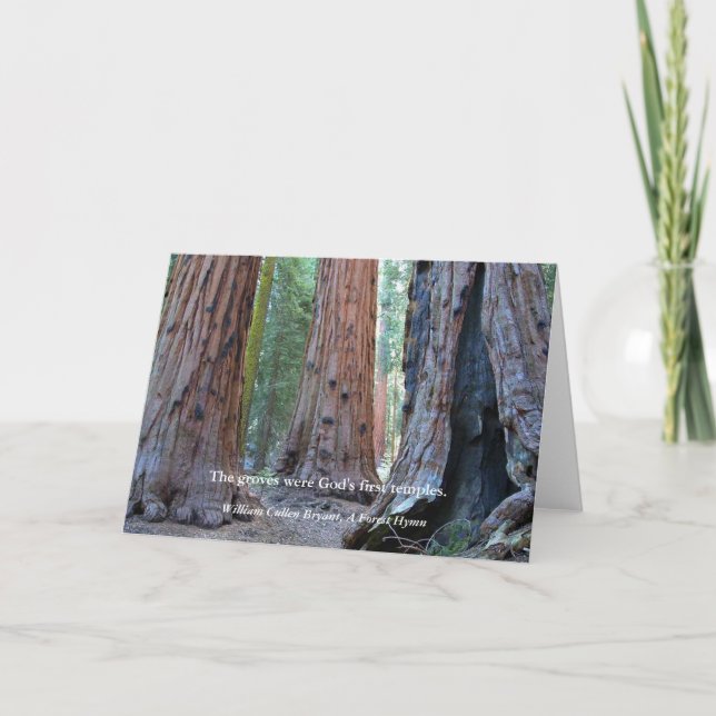 Temple of the Groves - Sacred Sequoia Trees, Quote Card (Front)