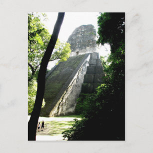 Temple V, Tikal, Guatemala Postcard