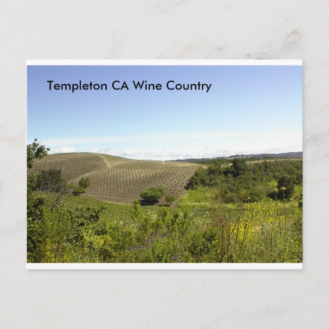 Templeton CA Wine Country Postcard (Front)