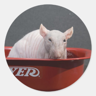 Templeton Classic Round Sticker