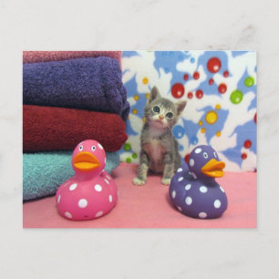 Temps de bain avec Aidan - Carte postale Ccat