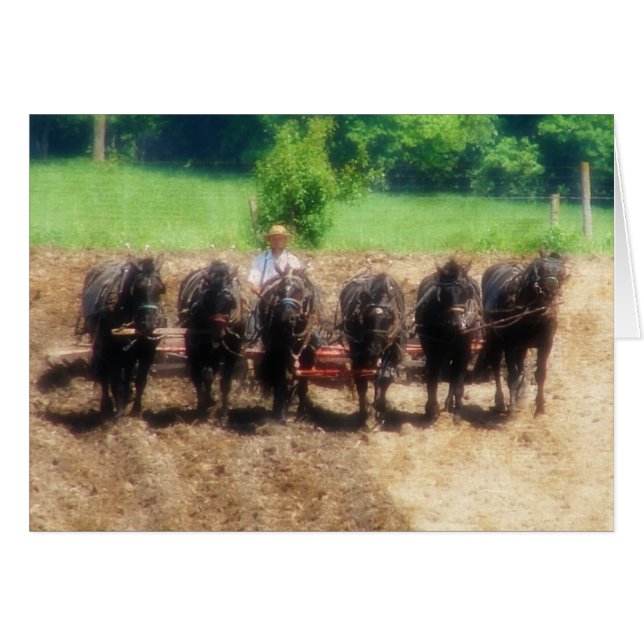 Temps de plantation (Devant horizontal)