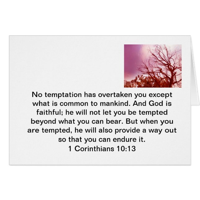 Temptation (Front Horizontal)