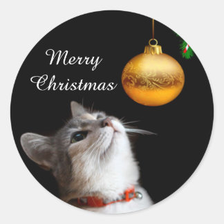Tempted kitty cat Christmas Classic Round Sticker