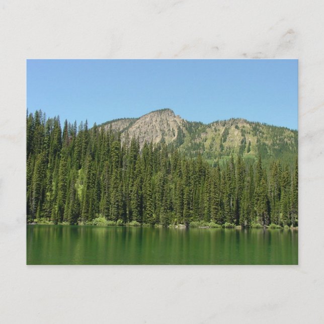 Ten Lakes Scenic Area Postcard (Front)