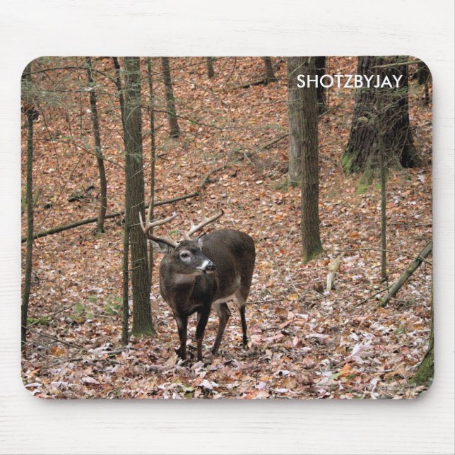 Ten Point Buck Mouse Pad (Front)