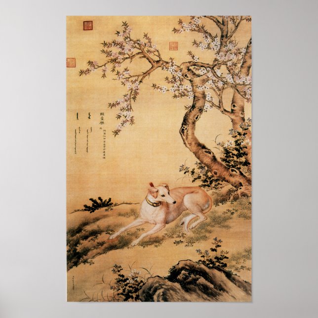 Ten Prized Dogs - Shanxing Wolf(Chinese greyhound) Poster (Front)