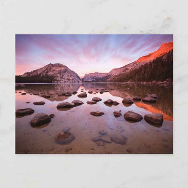 Tenaya Lake Postcard (Front)